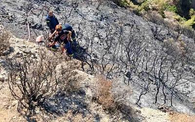 Πάτρα: Πυροσβέστης έπεσε σε χαράδρα κατά την κατάσβεση – Άμεση κινητοποίηση!