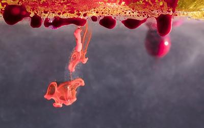 Το «χρυσό αίμα»: Η σπάνια ομάδα που αναζητούν απεγνωσμένα οι επιστήμονες