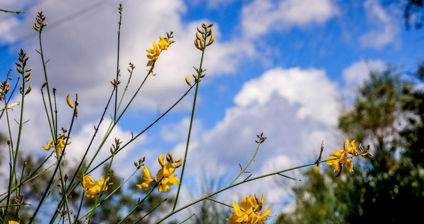 Μετά την… άνοιξη, έρχονται βροχές: Πότε αλλάζει ξανά ο καιρός και τι θα συμβεί με την «ψυχρή εισβολή»