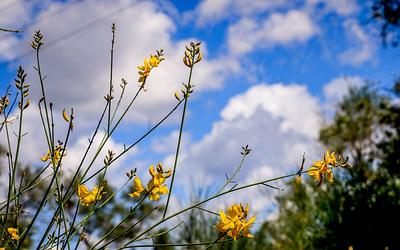 Εκπληκτικός καιρός το Σαββατοκύριακο, αλλάζει το σκηνικό από Δευτέρα!