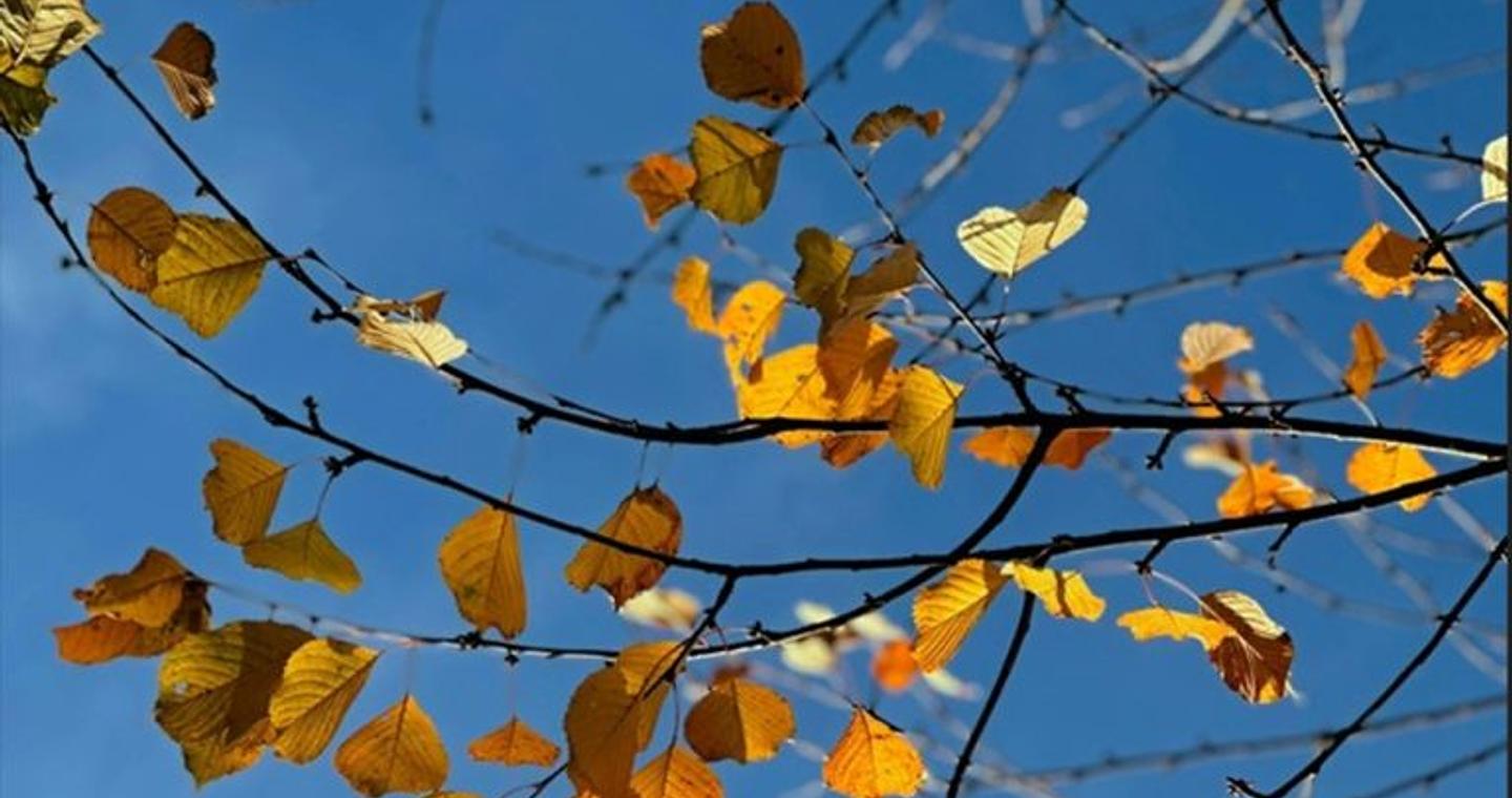 Καιρός: Αίθριος με αραιές νεφώσεις, άνοδο θερμοκρασίας και μεταφορά αφρικανικής σκόνης