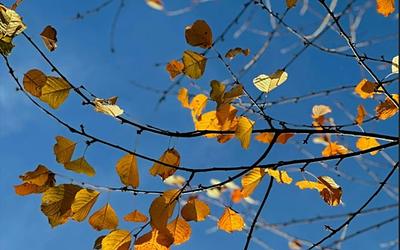 Αίθριος καιρός με αφρικανική σκόνη: Τι να περιμένουμε σήμερα;