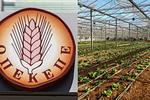 ΟΠΕΚΕΠΕ: Βολές της ΝΔ κατά ΣΥΡΙΖΑ για «προβληματικό σύστημα»