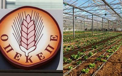 ΟΠΕΚΕΠΕ: Βολές της ΝΔ κατά ΣΥΡΙΖΑ για το «προβληματικό σύστημα»