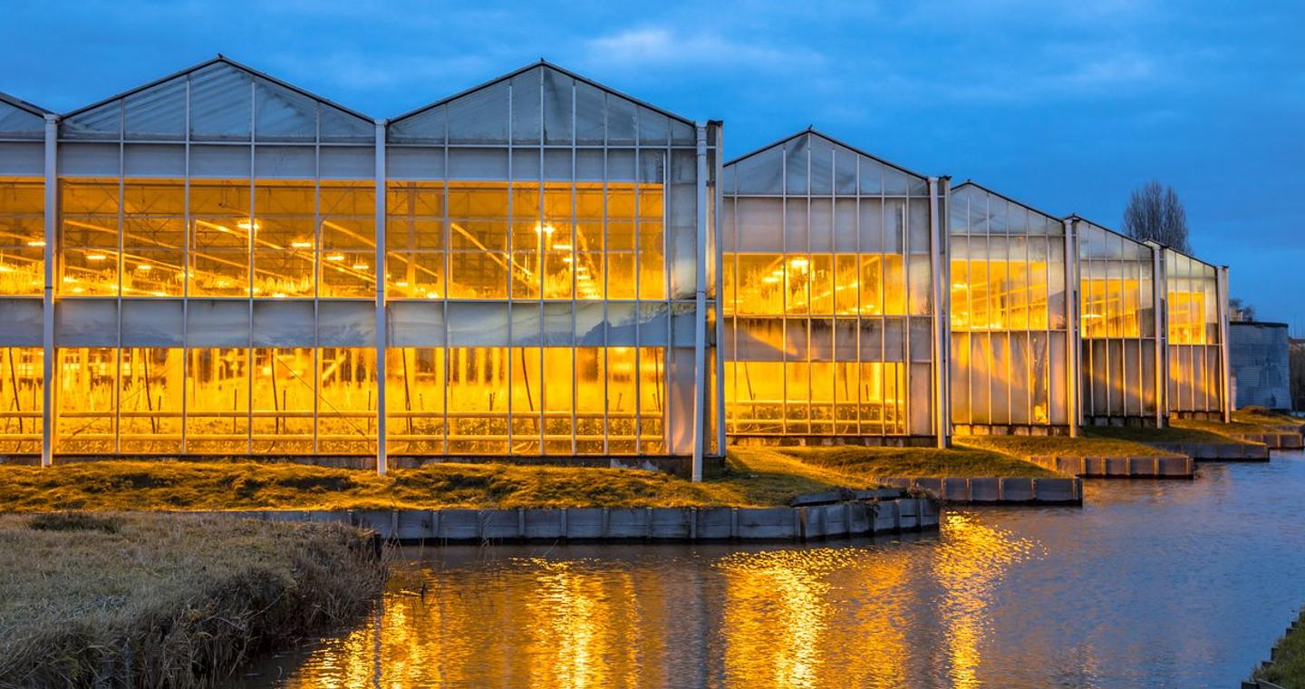 Πώς μια μικρή χώρα έγινε ο δεύτερος μεγαλύτερος εξαγωγέας γεωργικών προϊόντων στον κόσμο