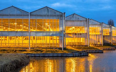 Ολλανδία: Το μικρό θαύμα της γεωργίας που τροφοδοτεί τον κόσμο!