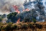 Πυρκαγιά στην Ηλεία: Σήμανση 112 στα Βυτιναίικα – Συναγερμός!