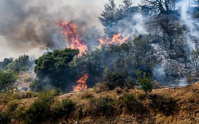 Πυρκαγιά στην Ηλεία: Σήμανση 112 στα Βυτιναίικα – Συναγερμός!