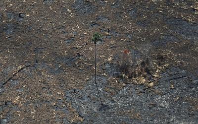 Έκθεση COP30: Η Ελλάδα υποχωρεί στην αντιμετώπιση της κλιματικής αλλαγής