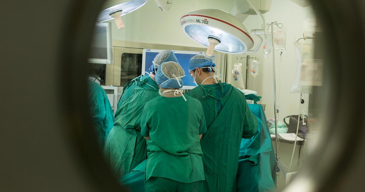 Στην Ιταλία για μεταμόσχευση ήπατος το ζευγάρι που κατανάλωσε δηλητηριώδη μανιτάρια