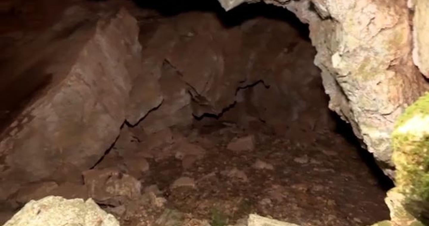 Ρευματιά: «Το θεωρώ άλυτο πρόβλημα» – Νέα στοιχεία για την υπόθεση της Αμαλίας Νικολοπούλου