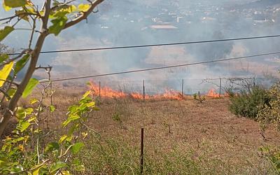 Φωτιά στο Κορωπί: Άμεση επέμβαση της Πυροσβεστικής στην Αγία Μαρίνα