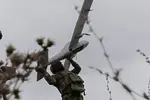 Ρωσία: Κατέρριψε 10 ουκρανικά drones που στόχευαν τη Μόσχα – Τι συμβαίνει;