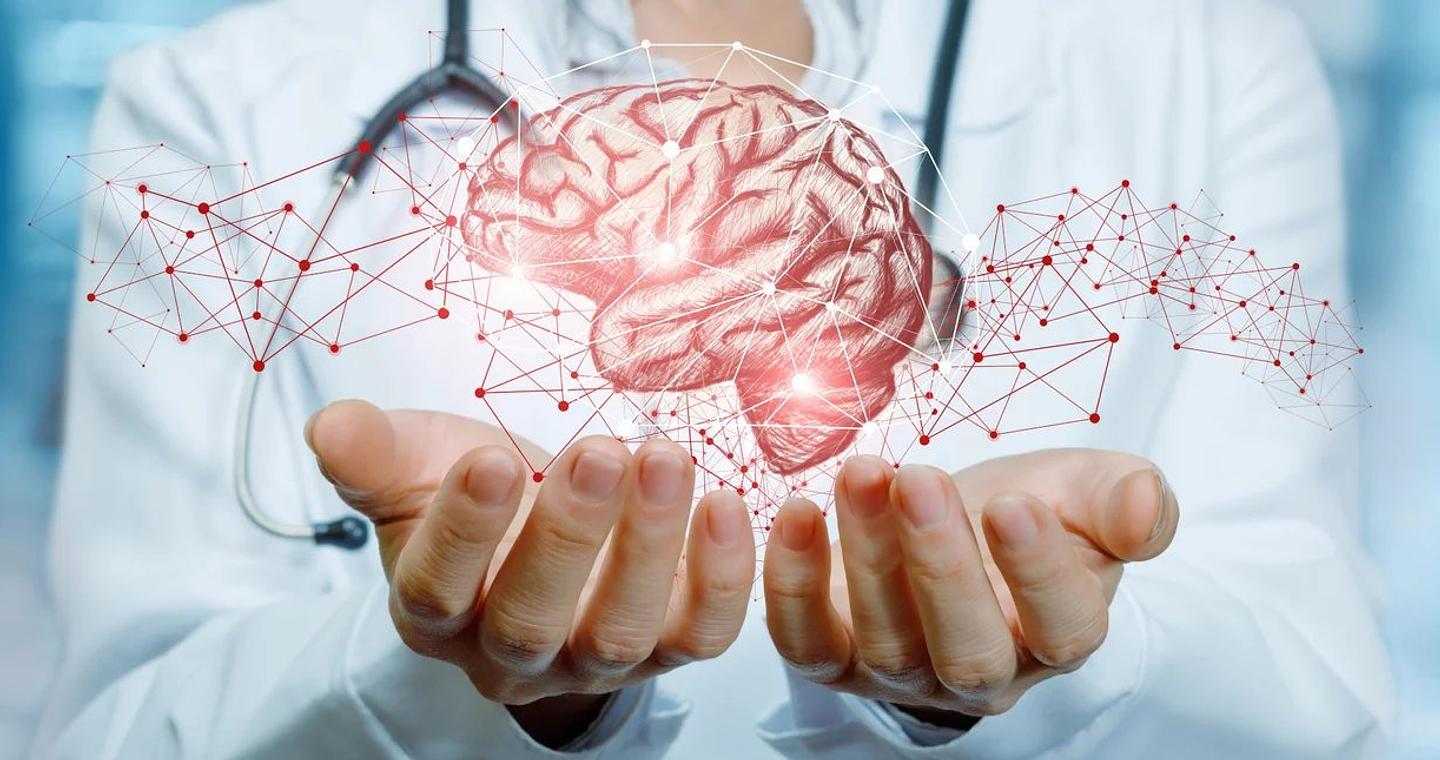 Οι επιστήμονες ανακάλυψαν ότι ο ανθρώπινος εγκέφαλος είναι «προγραμματισμένος» με οδηγίες για να κατανοεί τον κόσμο