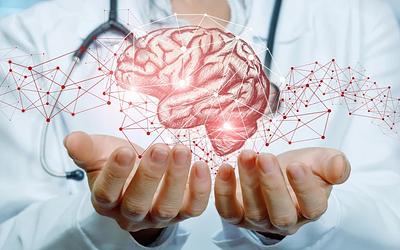 Εγκέφαλος: Ηλεκτρική δραστηριότητα πριν καν γεννηθούμε – Νέα έρευνα!