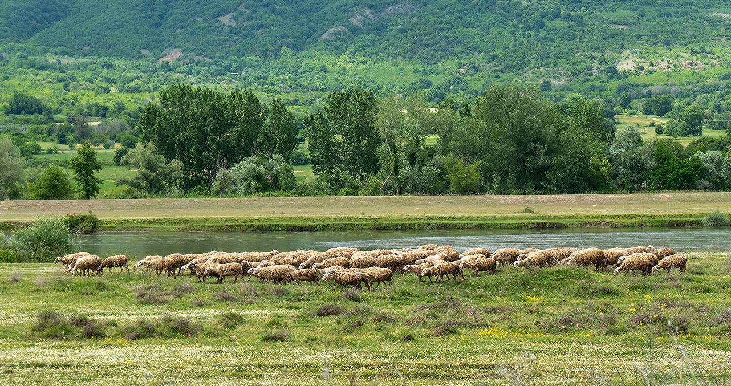 OΠΕΚΕΠΕ: Ούτε ευρώ πίσω από τις παράνομες επιδοτήσεις