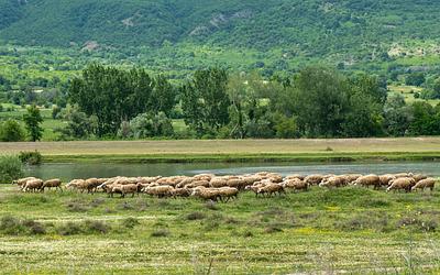 "Πάγωσαν" περιουσίες για αγροτικές επιδοτήσεις: Μηδέν ευρώ επιστροφές!