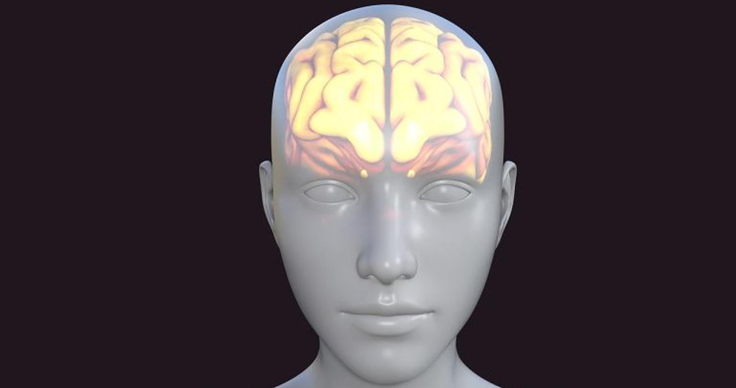 Η χειραγώγηση του εγκεφάλου δεν αποτελεί πλέον επιστημονική φαντασία, προειδοποιούν ερευνητές