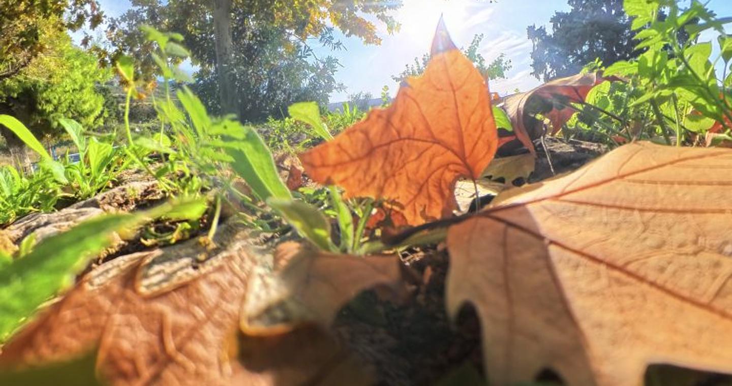 Καιρός από τον Π. Γιαννόπουλο: Τοπικές βροχές και πτώση θερμοκρασίας – Πού θα πέσουν τα πρώτα χιόνια