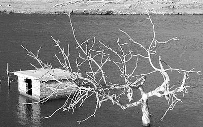 Συναγερμός για λειψυδρία: Τι συμβαίνει στην Ελλάδα και στον κόσμο;