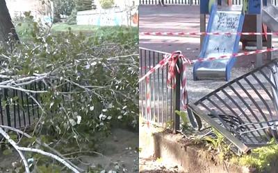 Χαϊδάρι: Λεύκα «κατάπιε» παιδική χαρά!