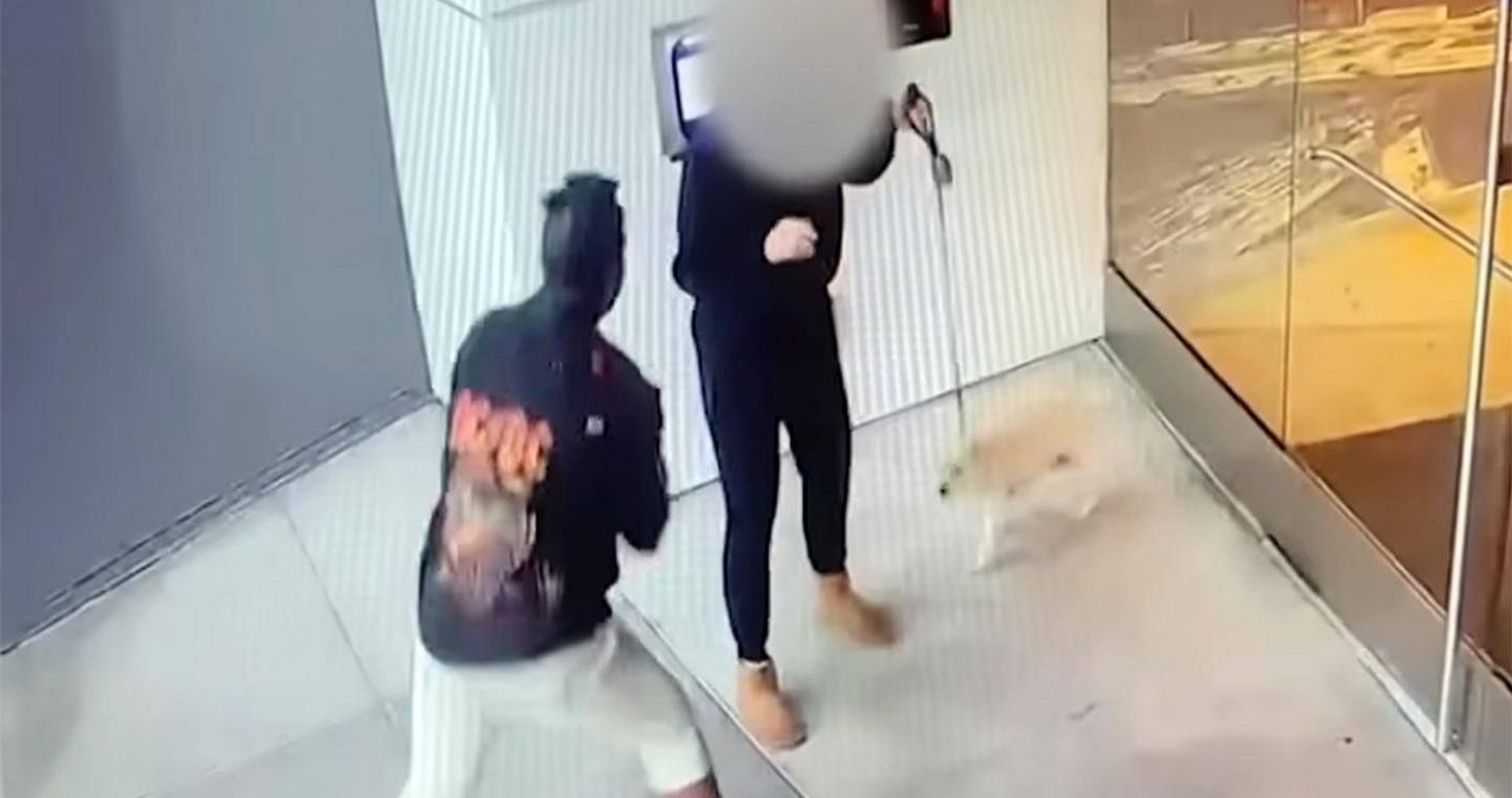 Γυναίκα δέχτηκε βίαιη σεξουαλική επίθεση στο Λος Άντζελες την ώρα που έβγαζε βόλτα τον σκύλο της – Η σοκαριστική στιγμή σε κάμερα ασφαλείας