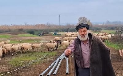 Θεσσαλονίκη: Συντετριμμένος κτηνοτρόφος υπέστη εγκεφαλικό μετά τη θανάτωση του κοπαδιού του