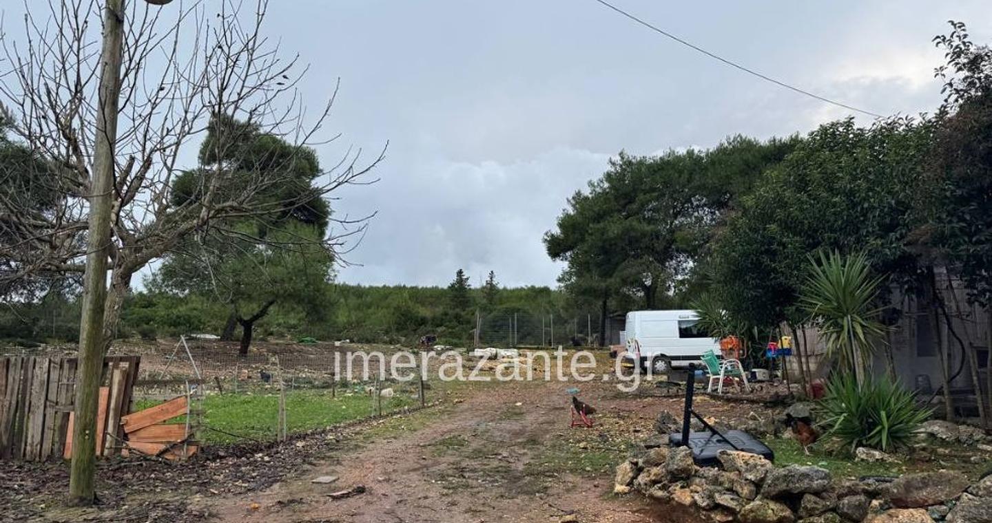 Ζάκυνθος: Πώς συνέβη η τραγωδία με το νεκρό παιδί από επίθεση πίτμπουλ