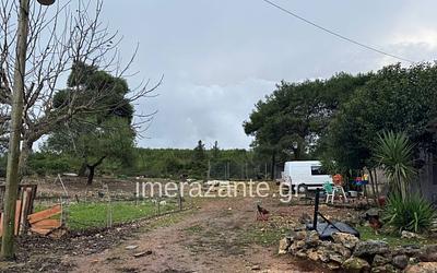 Ζάκυνθος: Τραγωδία με 2χρονο – Πώς το υιοθετημένο πίτμπουλ σκότωσε το παιδί