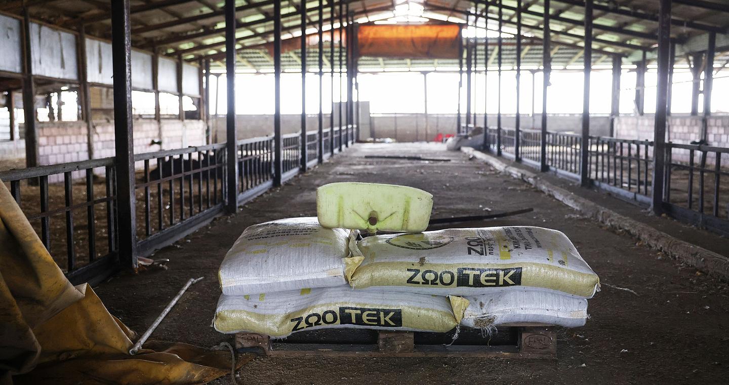 «Είχα εννιακόσια ζώα, έμεινα με δύο σκυλιά» – Οδοιπορικό της «Κ» στα χωριά της Λάρισας