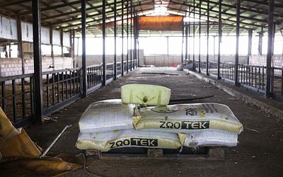 Θεσσαλία: Η καταστροφή των κτηνοτρόφων και η οργή για την ευλογιά