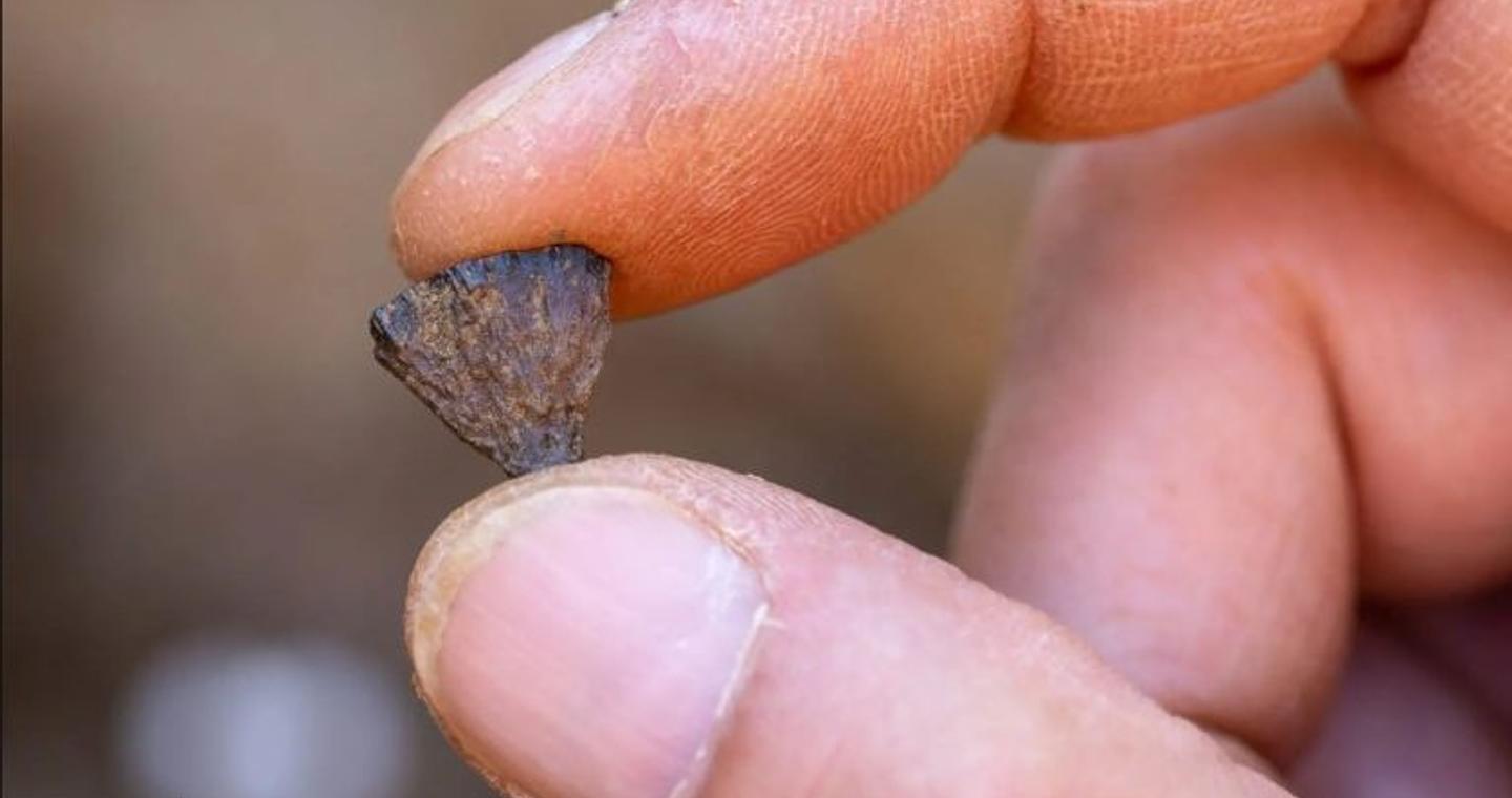 Ανακάλυψη ανατρέπει όσα πιστεύαμε μέχρι σήμερα για τη φωτιά