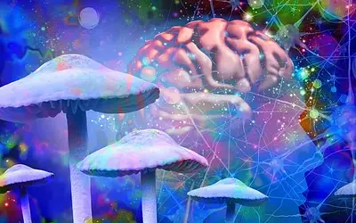 OCD: Γιατί τα ψυχεδελικά υπερτερούν της κάνναβης στη θεραπεία;