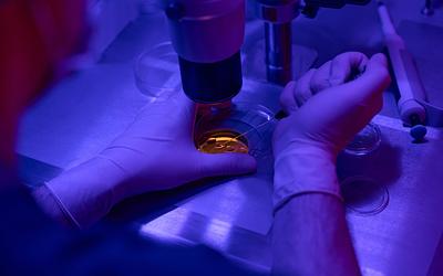 Μετάλλαξη-«βόμβα» σε δότη σπέρματος: Τι αποκαλύπτει η Ισμήνη Κριάρη