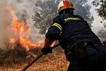 Φωτιά στην Γουριώτισσα Αγρινίου: Διακοπή κυκλοφορίας στην Ιόνια Οδό!