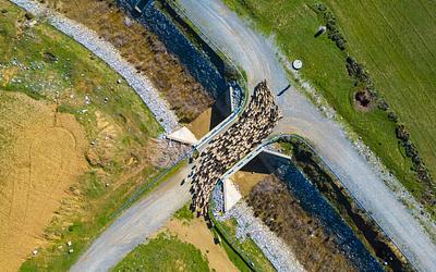 Κρήτη: Σκάνδαλο στον ΟΠΕΚΕΠΕ με παράνομες επιδοτήσεις άνω του 1,7 εκατ. ευρώ