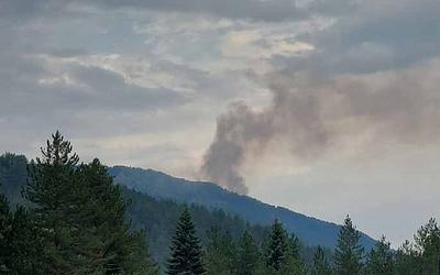 Πυρκαγιά στο Ζαγόρι: Άμεση κινητοποίηση και αισιοδοξία για κατάσβεση