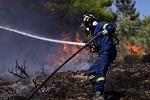 Φωτιά στην Φωκίδα: Άμεση επέμβαση για περιορισμό της εξάπλωσης!