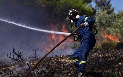 Φωτιά στην Φωκίδα: Άμεση επέμβαση για περιορισμό της εξάπλωσης!