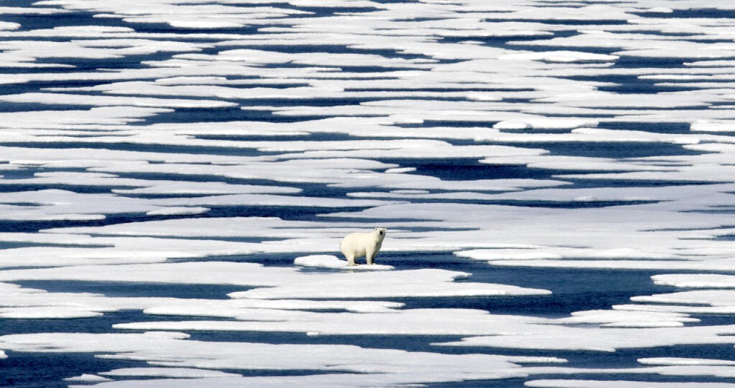 Ρεκόρ ζέστης στην Αρκτική και οι επιστήμονες προειδοποιούν: «Ο χειμώνας επαναπροσδιορίζεται»