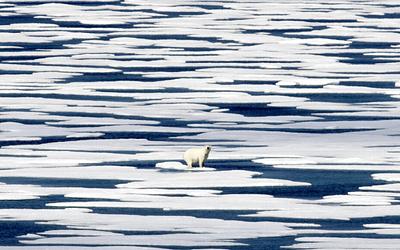 Καμπανάκι για Αρκτική: Θερμοκρασίες ρεκόρ και ιστορική συρρίκνωση πάγου!