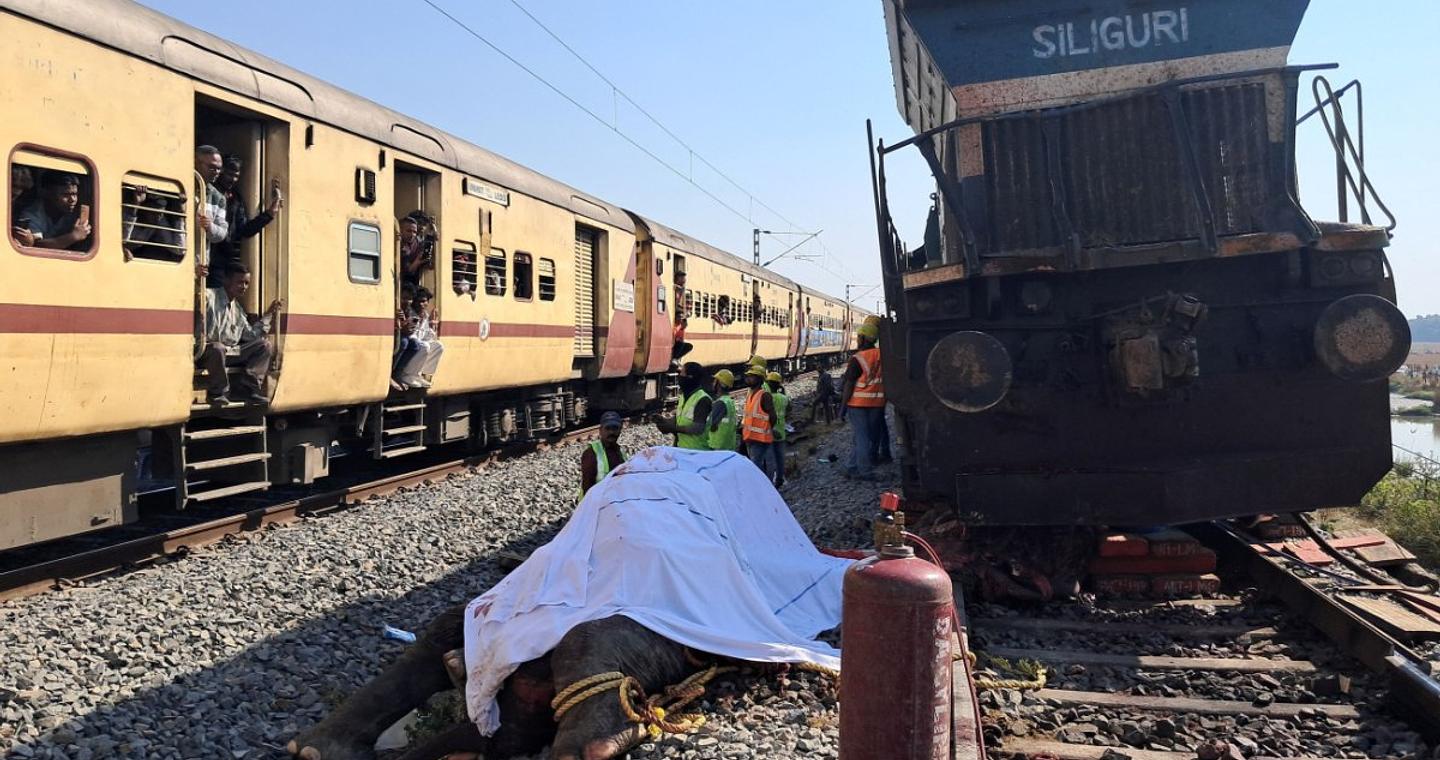 Ινδία: Σφοδρή σύγκρουση τρένου με κοπάδι – Επτά ελέφαντες σκοτώθηκαν