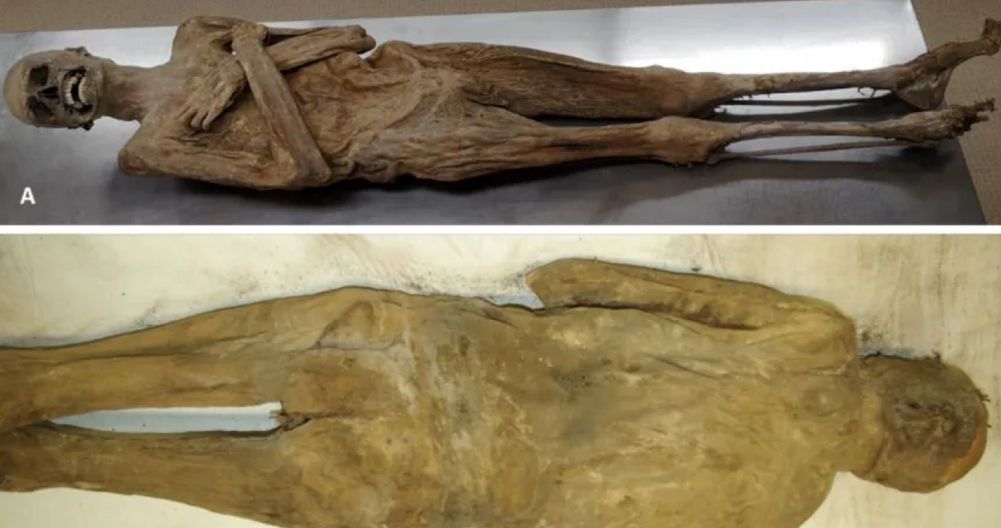 2025: Τα Ιστορικά μυστήρια που έλυσε η επιστήμη το τρέχον έτος