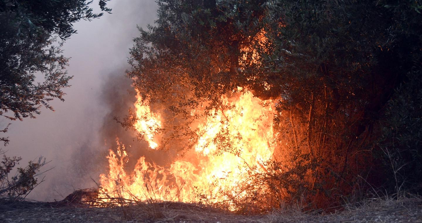 Λέσβος: 57χρονος ομολόγησε τέσσερις εμπρησμούς – Τι είπε στην ανάκριση