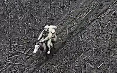 Ρώσοι στρατιώτες ιππεύουν άλογα στην Ουκρανία: Επιστροφή στον Α' Παγκόσμιο Πόλεμο;