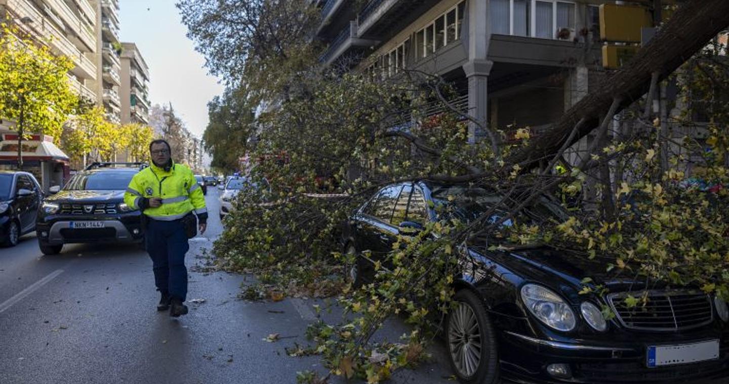 Ισχυροί άνεμοι στη Θεσσαλονίκη- Κλαδί δέντρου χτύπησε αυτοκίνητο εν κινήσει- Συστάσεις από την Πολιτική Προστασία