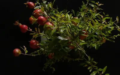 Αποχαιρετισμός στο 2025 με Μακρόπουλο και επισκόπηση βιβλίων!