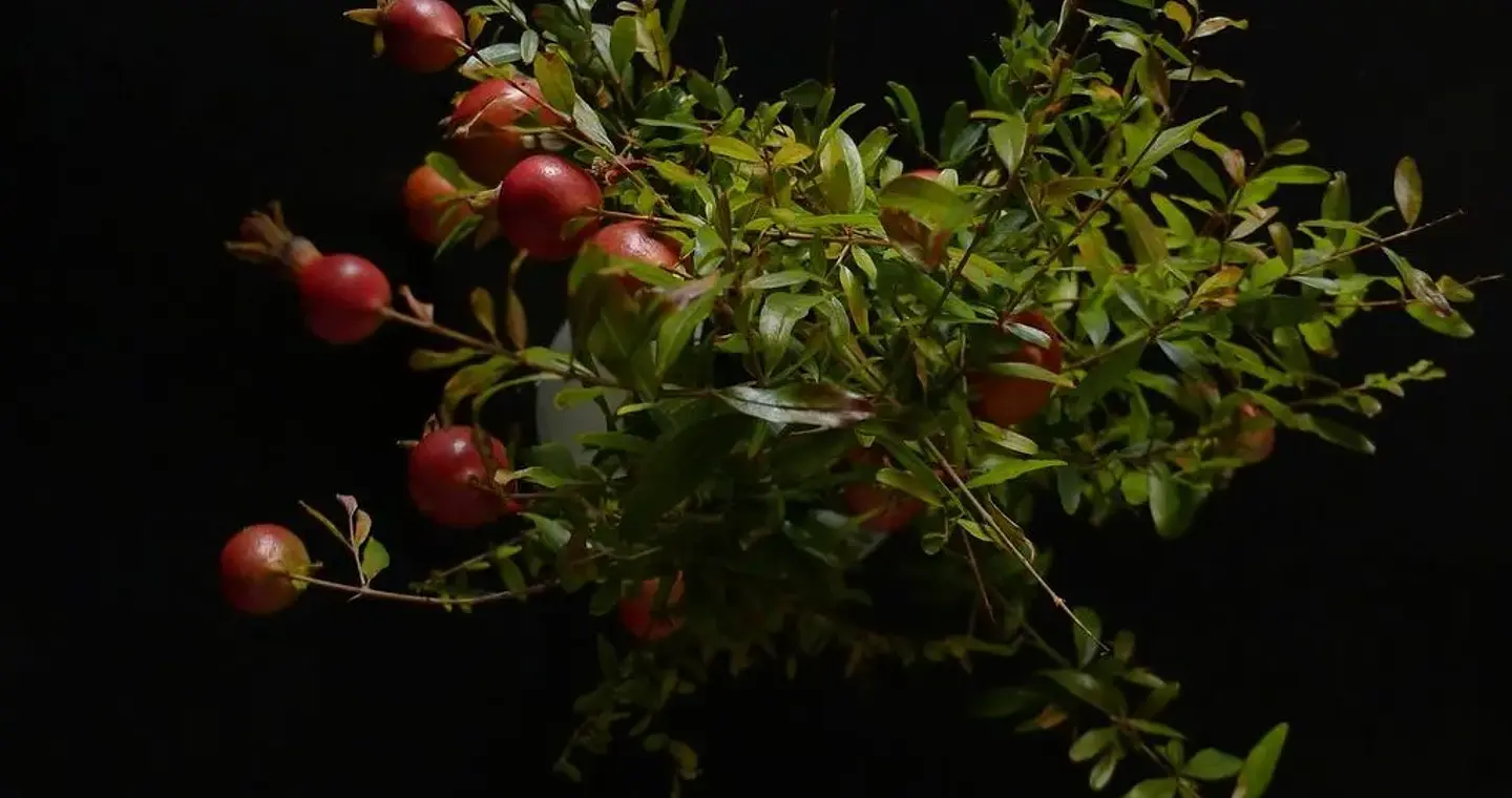 Διακρίνοντας βιβλία για το 2025 Γ΄ μέρος