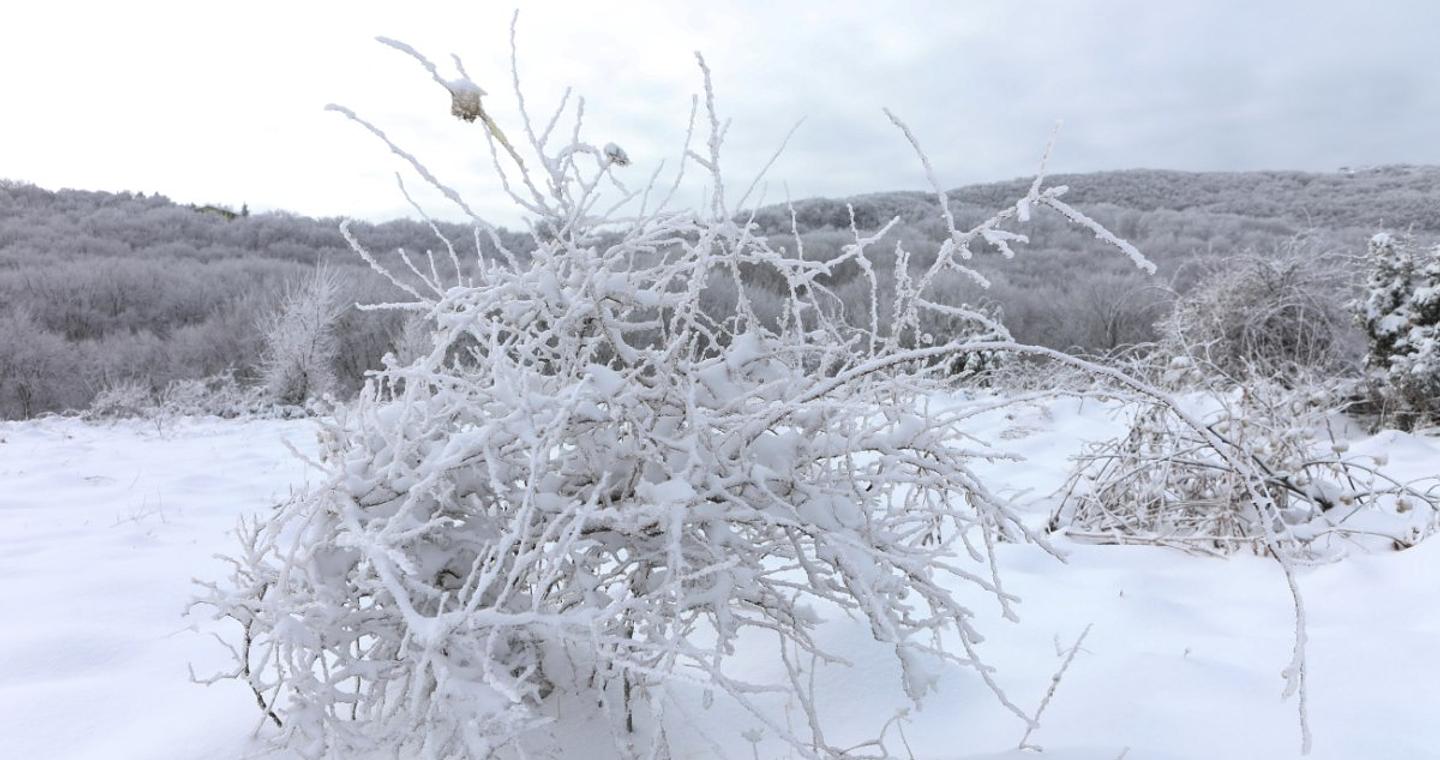 Καιρός: Ποδαρικό με τσουχτερό κρύο θα κάνει το 2026 – Προβλέψεις και για χιονοκαταιγίδες, τι θα γίνει στην Αττική