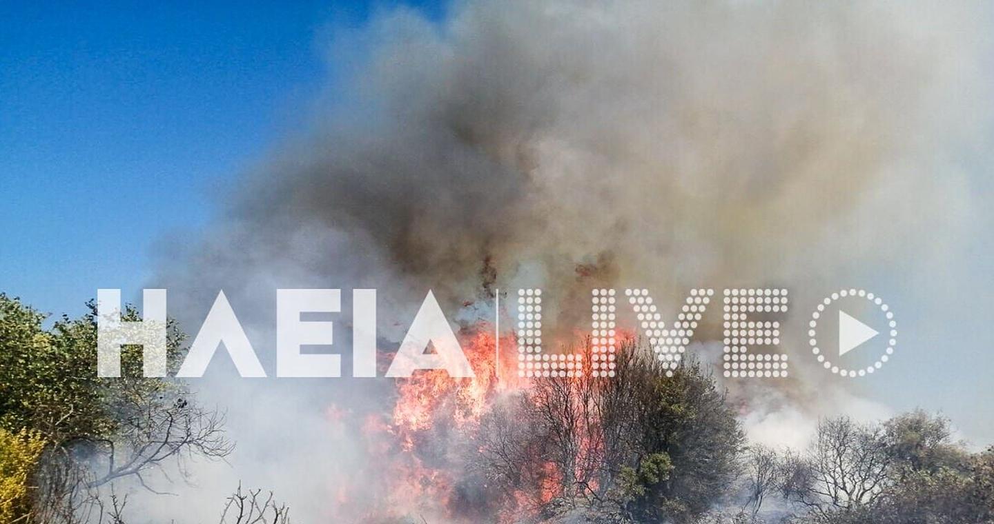 Φωτιά στην Ηλεία: Καίει σε αγροτοδασική έκταση - Σηκώθηκαν και εναέρια μέσα